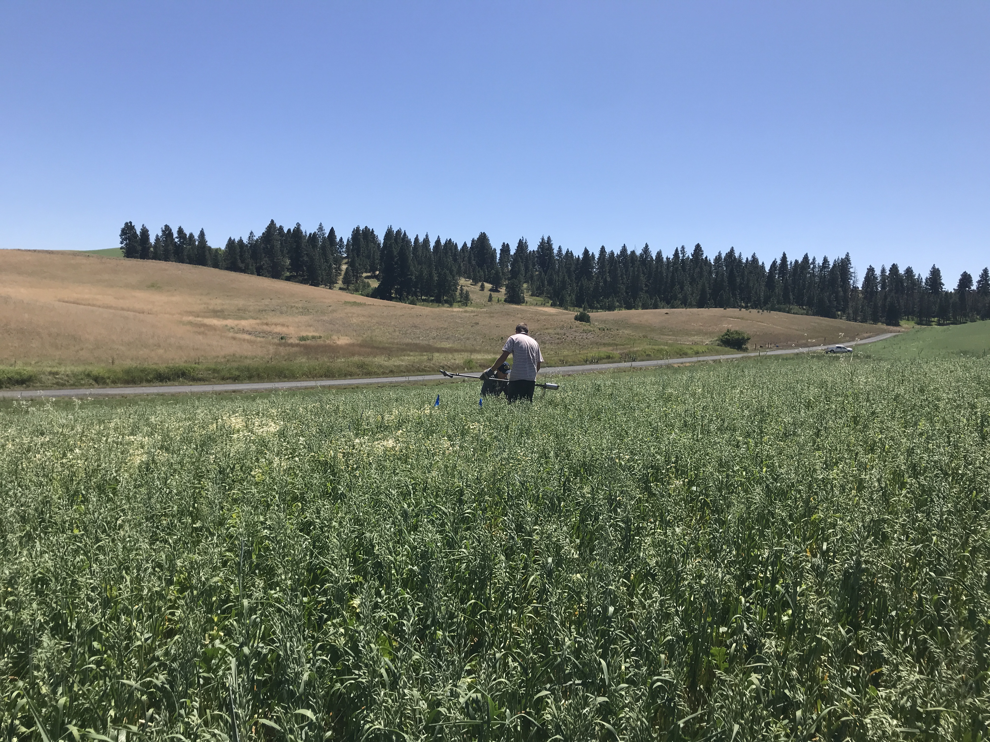 Soil Core Collection